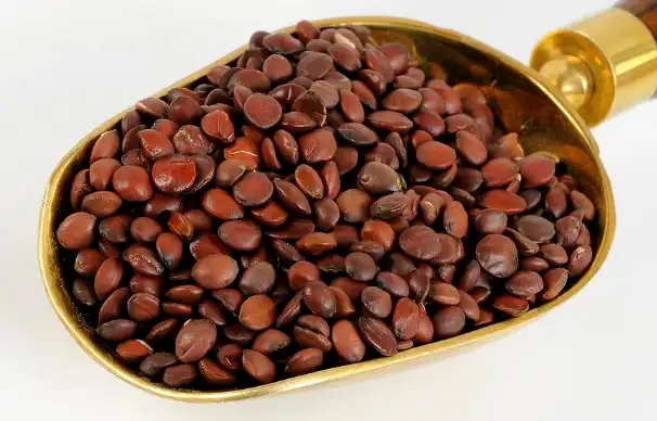 Does jujube seed extract have side effects?